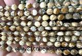 CCB1795 15 inches 6mm faceted coin picture jasper beads