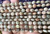 CCB1815 15 inches 6mm faceted coin Chinese unakite beads