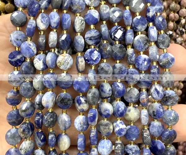 CCB1840 15 inches 6mm faceted coin sodalite beads wholesale
