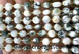 CCB1933 15 inches 8mm faceted coin tree agate beads wholesale