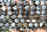 CCB2000 15 inches 8mm faceted coin eagle eye jasper beads