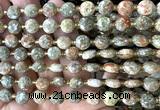CCB2004 15 inches 8mm faceted coin Chinese unakite beads