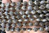 CCB2030 15 inches 8mm faceted coin rainbow labradorite beads