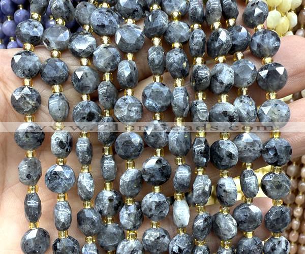 CCB2031 15 inches 8mm faceted coin black labradorite beads