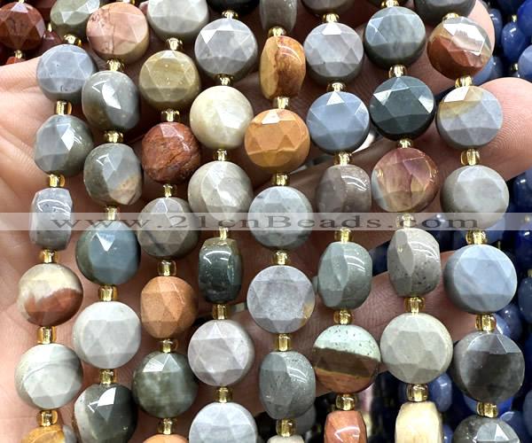 CCB2144 15 inches 10mm faceted coin American picture jasper beads