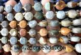 CCB2144 15 inches 10mm faceted coin American picture jasper beads