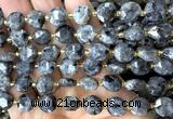 CCB2191 15 inches 10mm faceted coin black labradorite beads