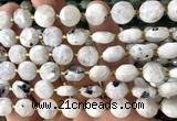 CCB2206 15 inches 10mm faceted coin white moonstone beads