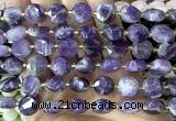 CCB2302 15 inches 12mm faceted coin dogtooth amethyst beads