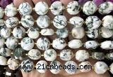 CCB2318 15 inches 12mm faceted coin tree agate gemstone beads