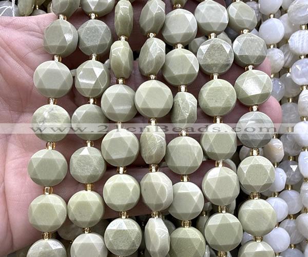 CCB2335 15 inches 12mm faceted coin Alashan jasper beads