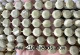 CCB2335 15 inches 12mm faceted coin Alashan jasper beads