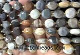 CCB2341 15 inches 12mm faceted coin American picture jasper beads