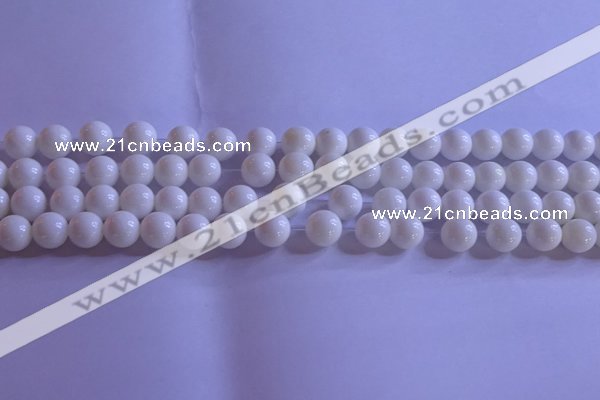 CCB402 15.5 inches 8mm round white tridacna beads wholesale