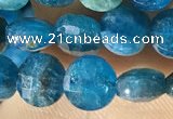 CCB615 15.5 inches 6mm faceted coin natural apatite gemstone beads