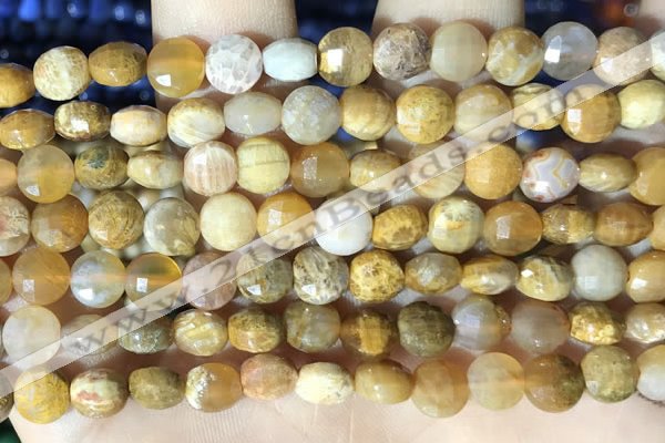 CCB621 15.5 inches 6mm faceted coin fossil coral beads wholesale
