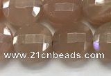 CCB683 15.5 inches 10mm faceted coin moonstone gemstone beads