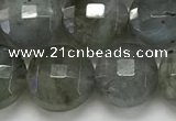 CCB684 15.5 inches 10mm faceted coin labradorite gemstone beads