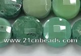 CCB689 15.5 inches 10mm faceted coin grass agate gemstone beads