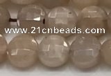 CCB705 15.5 inches 6mm faceted coin moonstone gemstone beads