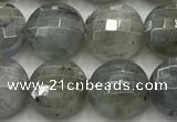 CCB726 15.5 inches 8mm faceted coin labradorite gemstone beads