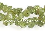 CCH16 35 inches green peridot chips gemstone beads wholesale