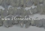 CCH205 34 inches 3*5mm blue chalcedony chips gemstone beads wholesale