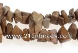 CCH27 35 inches picture jasper chips gemstone beads wholesale