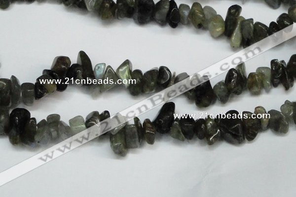 CCH277 34 inches 8*12mm labradorite chips gemstone beads wholesale