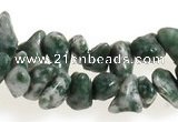 CCH29 35 inches dalmatian jasper chips gemstone beads wholesale