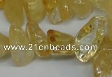 CCH292 34 inches 8*12mm citrine chips gemstone beads wholesale