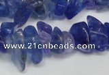 CCH294 34 inches 8*12mm dyed kyanite chips gemstone beads wholesale