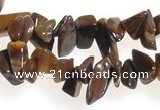 CCH30 34 inches tigers Eye chips gemstone beads wholesale