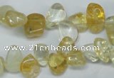 CCH312 15.5 inches 10*15mm citrine chips gemstone beads wholesale