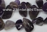 CCH316 15.5 inches 10*15mm amethyst chips gemstone beads wholesale