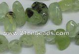 CCH318 15.5 inches 10*15mm prehnite chips gemstone beads wholesale