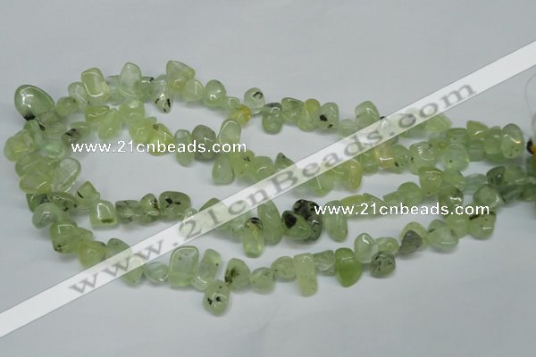 CCH318 15.5 inches 10*15mm prehnite chips gemstone beads wholesale