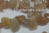 CCH321 15.5 inches 10*15mm moonstone chips gemstone beads wholesale