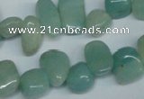 CCH324 15.5 inches 10*15mm amazonite chips gemstone beads wholesale