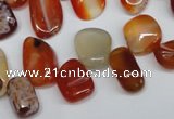 CCH333 15.5 inches 10*15mm red agate chips gemstone beads wholesale