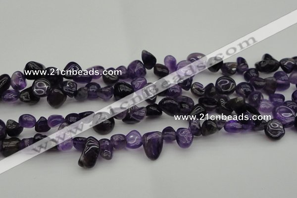 CCH615 15.5 inches 6*8mm - 10*14mm amethyst chips gemstone beads