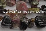 CCH616 15.5 inches 6*8mm - 10*14mm amethyst chips gemstone beads