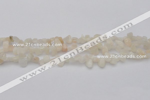 CCH624 15.5 inches 6*8mm - 10*14mm white moonstone chips beads