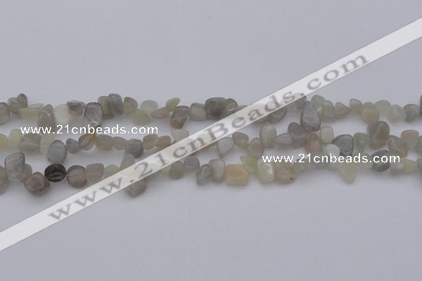 CCH625 15.5 inches 6*8mm - 10*14mm grey moonstone chips beads