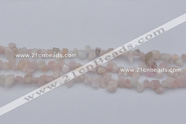 CCH626 15.5 inches 6*8mm - 10*14mm morganite gemstone chips beads