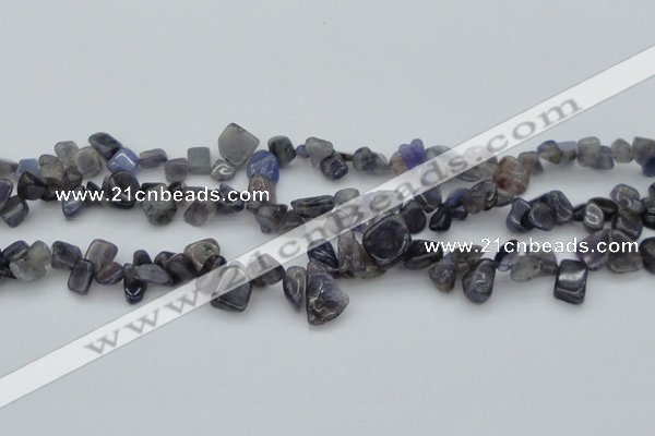 CCH627 15.5 inches 6*8mm - 10*14mm iolite gemstone chips beads