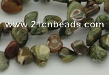 CCH637 15.5 inches 6*8mm - 10*14mm rhyolite gemstone chips beads