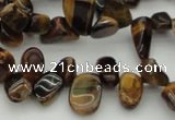 CCH638 15.5 inches 6*8mm - 10*14mm yellow tiger eye chips beads