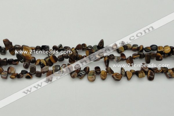 CCH638 15.5 inches 6*8mm - 10*14mm yellow tiger eye chips beads