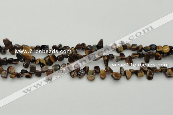 CCH638 15.5 inches 6*8mm - 10*14mm yellow tiger eye chips beads